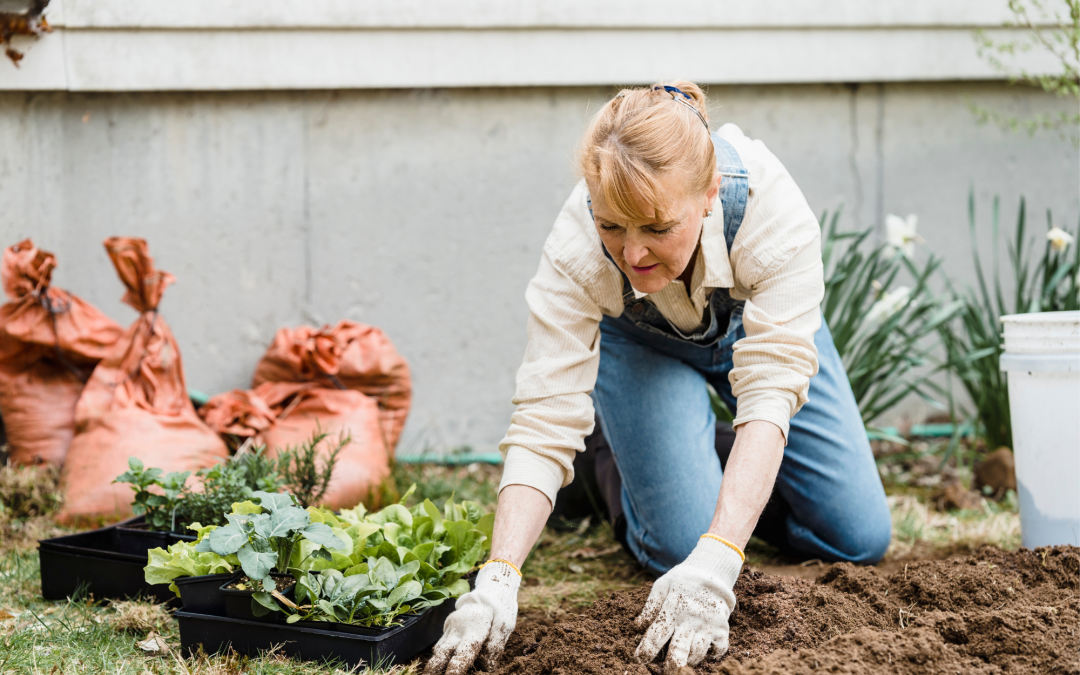 The Importance Of Garden Soil